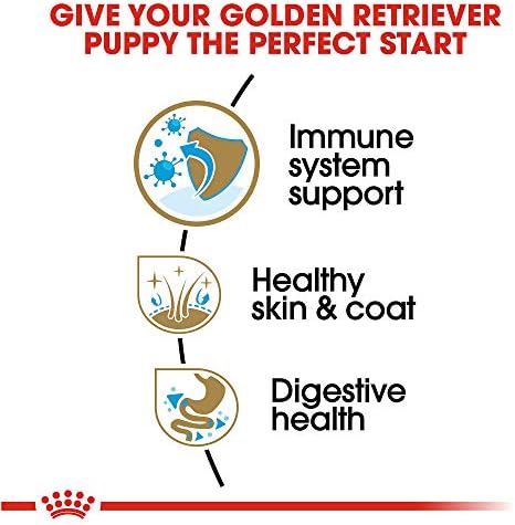 Royal Canin Fajta Táplálkozás-Egészségügyi Golden Retriever Kiskutya Száraz kutyaeledel, 30 lb