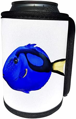 3dRose Egy Kék Tang tengeri Hal, Kék, Sárga - Lehet Hűvösebb Üveg Wrap (cc_357598_1)