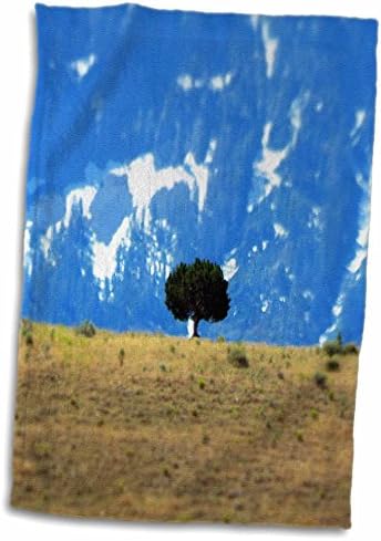 3dRose Egy fa fogott a távolból úgy néz ki, miniatűr, egy dombon, Törölköző (twl-263412-3)