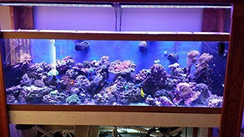 Akvárium LED Bar 72 ReefBar Pro 6500K Édesvízi Cichlid Ültetett 66x 3W Bridgelux 125 150 220 240 Liter