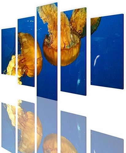 Alonline Art - Medúza Akvárium által Osztott 5 Panelek | Keretbe Feszített Vászon egy Kész Lógni Keret - Pamut - Galéria Csomagolt