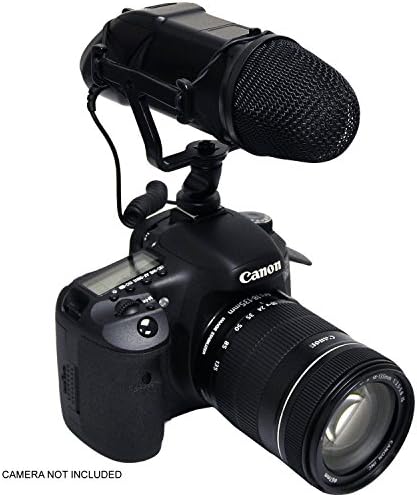 Professzionális Mikrofon (Sztereó/NRS) Canon EOS R w/Döglött Macska Szél Muff a High-End Rendszerek (DSLR Videó)
