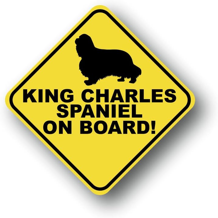 King Charles Spániel a Fedélzeten Mágnes UV Nyomtatott nagy teljesítményű Mágneses Anyag | 4-Es 4-Es PD1248Magnetic