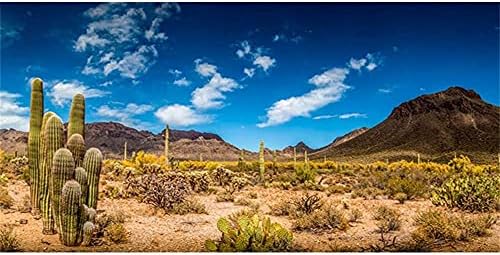 AWERT 36x18 hüvelyk Hüllő Élőhely Háttér a Kék Eget Oázis Kaktusz Sivatagban Terrárium Háttér Tartós Poliészter Háttér