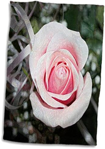 3dRose rózsaszín rózsa a szalag közelről festett - Törölköző (twl-184781-3)