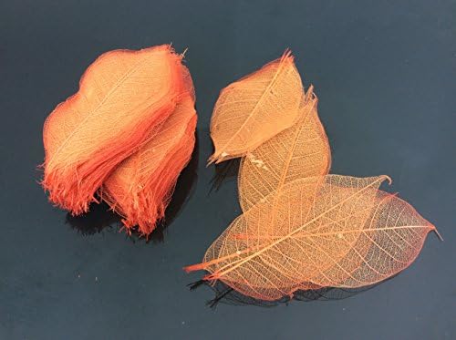 Narancs Csontváz Levelek, 3 Inch, Természetes Színű Virág Készítése Természetes Gumi Levelek