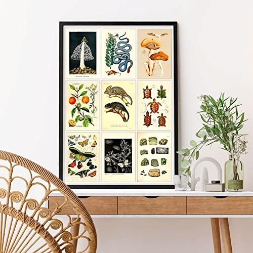 50Pcs Régi Fal, Kollázs, Kit Esztétikai Képek,Cottagecore Room Decor Hálószoba Esztétikai Plakátok Szoba Esztétikai Retro Botanikus Art