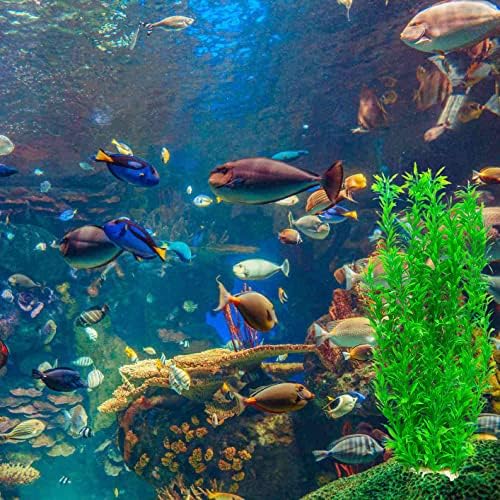 1 DB akvárium Növények Akváriumi Növények Műanyag Mesterséges Hínár az akvárium Dekoráció, 21 Magas Zöld