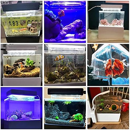 GHGHF Mini akvárium, Asztali Tengeri Akvapóniás Akvárium Halak Tál Vízzel Fliter LED USB Pumpa Hordozható Dekoráció (Szín : WhiteTank Fehér