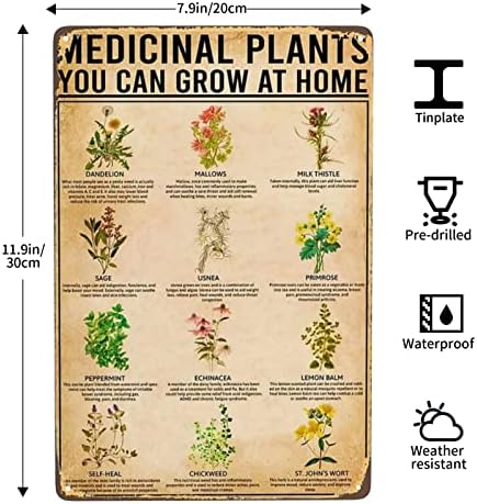 Gyógynövények Ismerete Retro Fém Tábla Vintage Növények Jelek, Fali Dekor Vicces Diagram Tudás Adóazonosító Jel Iskola Tantermi