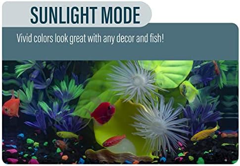 GloFish Akvárium Szett akvárium, LED Világítás, Szűrés Tartalmazza