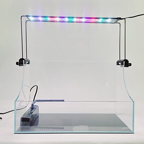 Alacsony Vas Ultra-Tiszta Üveg Terrárium Paludarium Készlet LED, Szűrő, Válaszfal, illetve Szerelvények