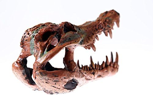 Krokodil Koponya Barna barlang Akvárium Dísz Dekoráció, akvárium Csont Marad