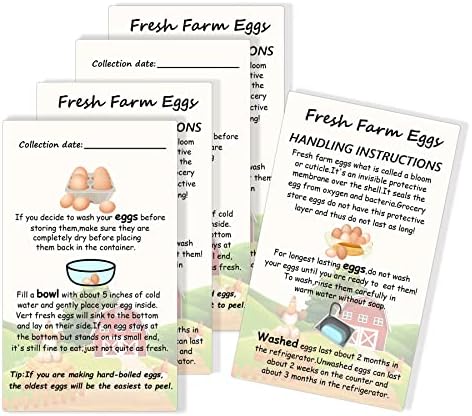 Friss Tanyasi Tojás Kezelési Utasítások Kártya 2x3.5 hüvelykes Tojás névjegykártya Színes Tojás Design Tojás Kezelési Útmutató Üres tojástartók