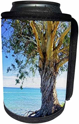 3dRose Eukaliptusz Fa a Csendes-óceán Partján - Lehet Hűvösebb Üveg Wrap (cc-361506-1)