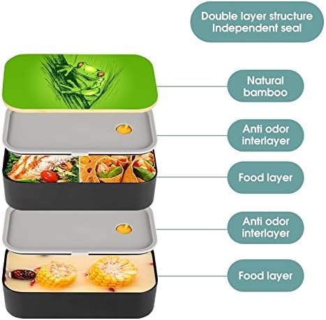 Színes Kézi Vázlat Békák Bento Ebédet szivárgásmentes Bento Box Élelmiszer-tartály, 2 Rekesz Irodájában Dolgozik Piknik