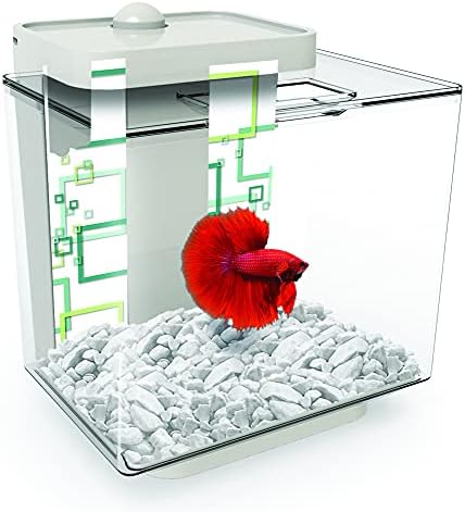 1.35 gallon Betta akvárium rendelkezik, nincs rendetlenség, nincs stressz, karbantartási, valamint magában foglalja a decoractive kétoldalas