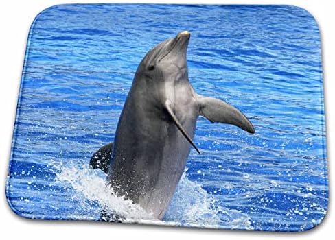 3dRose Delfin búvár a víz Oceanográfiai Akvárium. - Étel, Szárítás, Szőnyeg (ddm-37748-1)